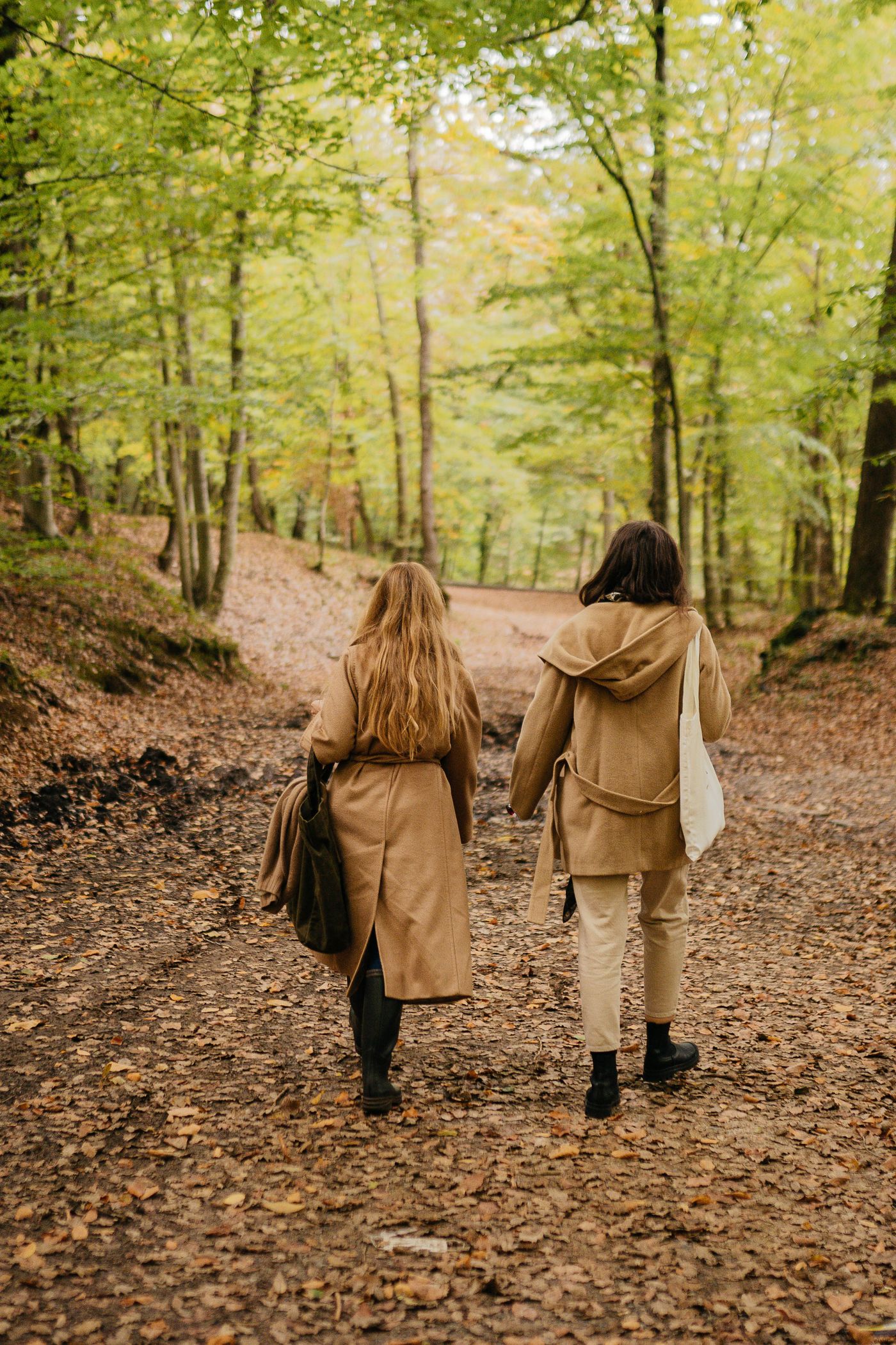 To kvinder på en rolig gåtur i en skov med varmt efterårslys
